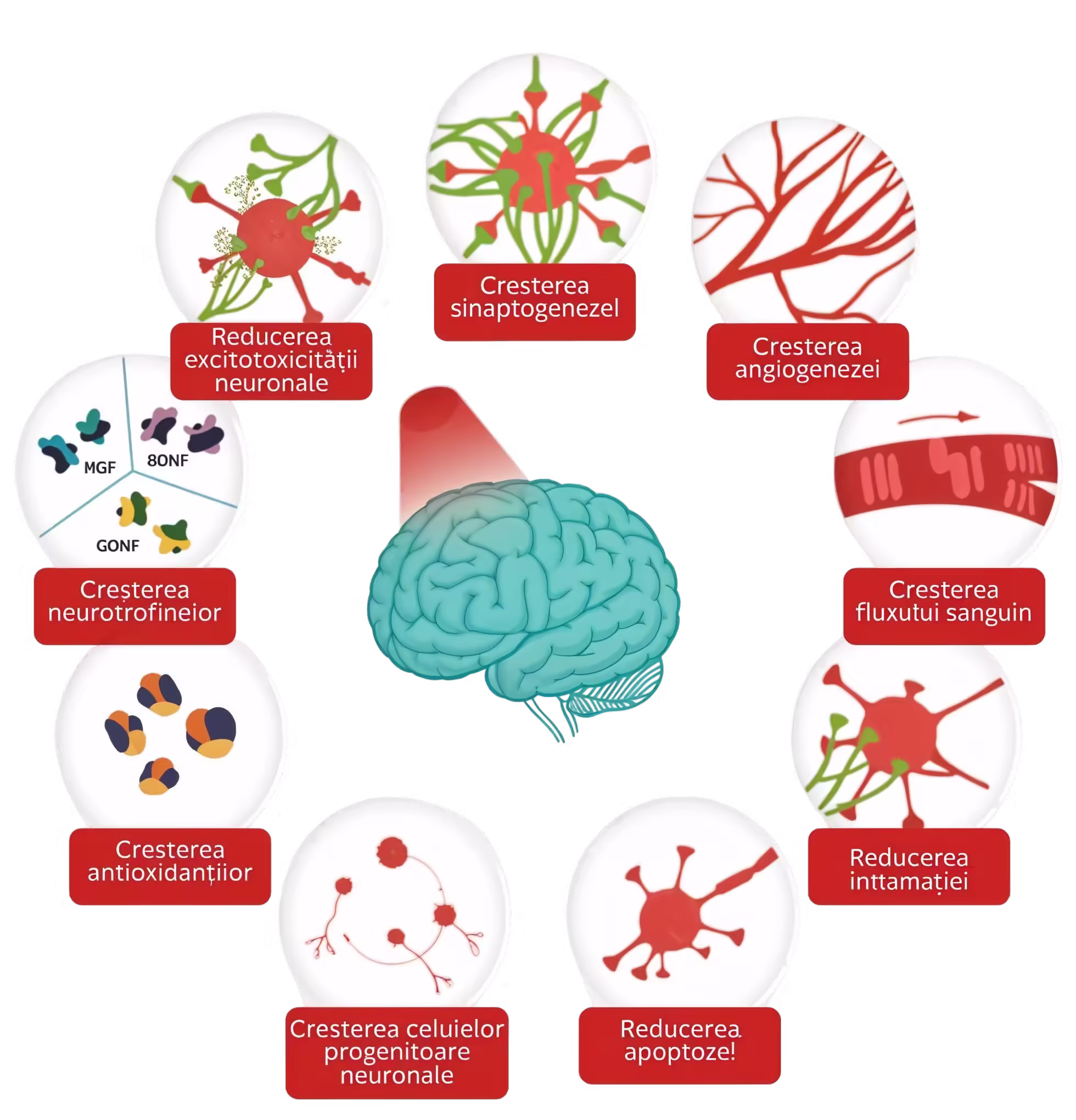 Terapia prin fotobiomodulare transcraniană (tPBM)